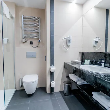 Dabrowa Gornicza-katowice By Ihg 4*